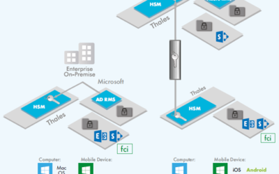 MICROSOFT攜手THALES，提供獨特”BYOK”選項功能