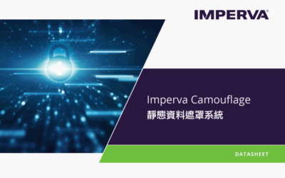 Imperva Camouflage 靜態資料遮罩－減少不符合規及機敏資料被竊取的風險